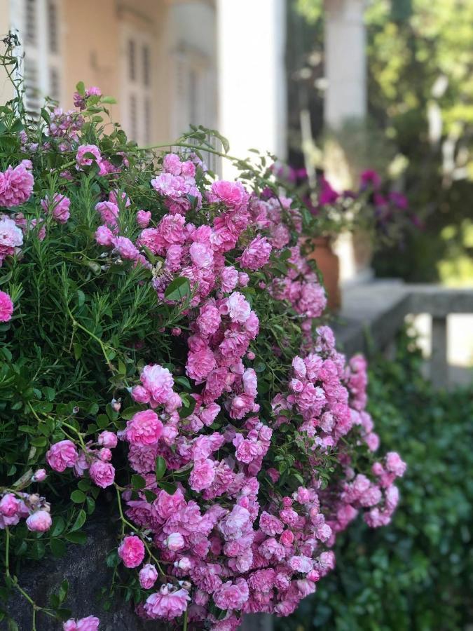Villa Miomir دوبروفينك المظهر الخارجي الصورة